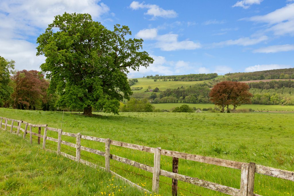 The Fortwilliam Estate, Glencairn, Co. Waterford