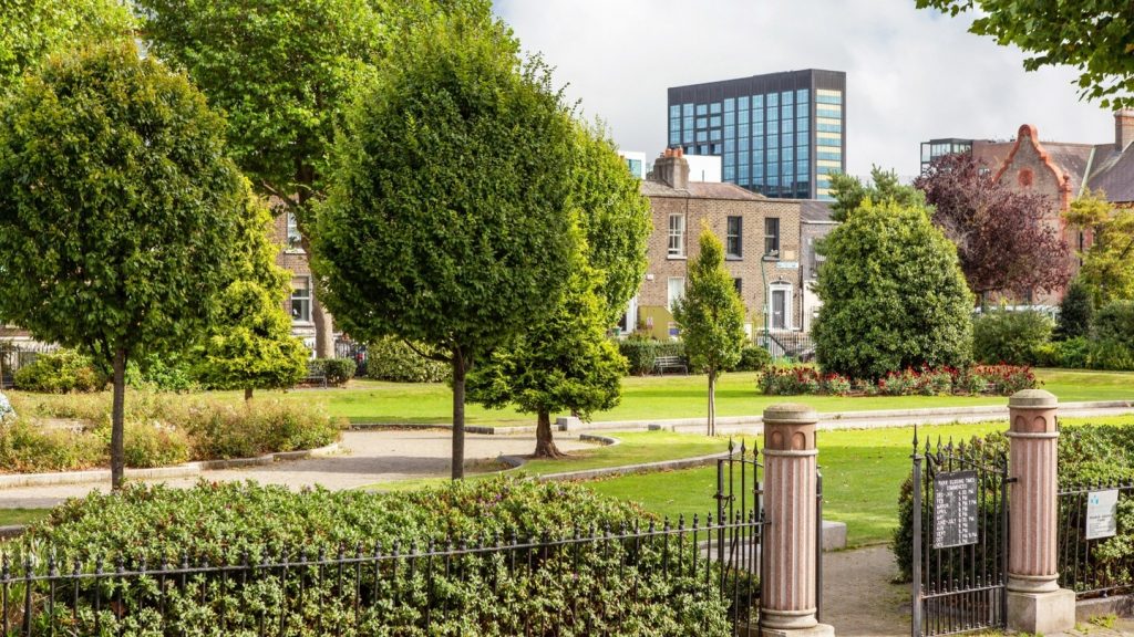 From Vision to Reality: A Stunning Transformation at 17 Pearse Square
