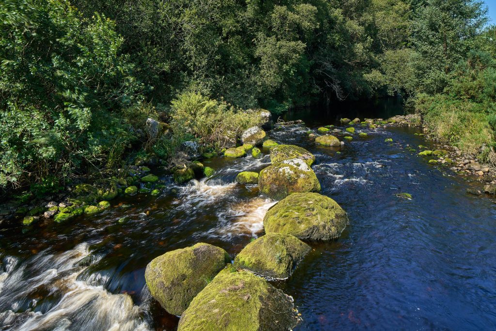 Sternes Mill, Annamoe, Roundwood, Co. Wicklow